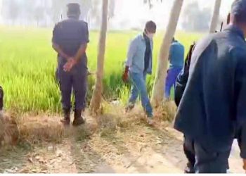 धान खेतमा अन्दाजी २५ वर्षीय युवकको शव फेला, हत्याको आशंका