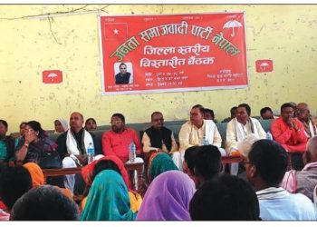 मधेश प्रदेशमा संगठनलाई सुदृढ बनाउन जसपा अध्यक्ष यादवको जोड