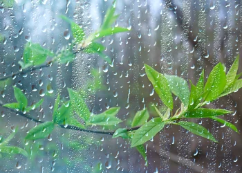 देशका पहाडी भूभागका एकदुई स्थानमा मेघगर्जन र चट्याङ्गसहित हल्का पानी पर्ने सम्भावना