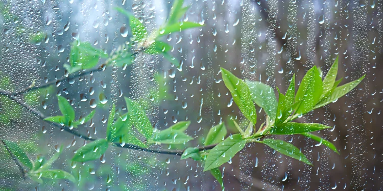 देशका पहाडी भूभागका एकदुई स्थानमा मेघगर्जन र चट्याङ्गसहित हल्का पानी पर्ने सम्भावना