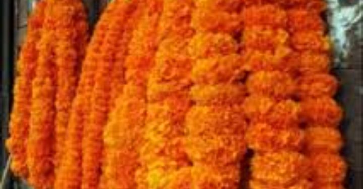 फूलको मालामा व्यवसायीहरूलाई १० वर्षयताकै धेरै घाटा