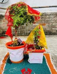 आज हरिबोधनी एकादशी पर्व मनाइँदै