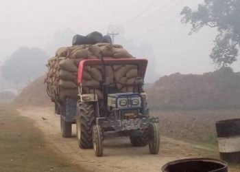 सर्लाहीको भाडसर नाका हुँदै धान तस्करी मौलाउँदै, लाखौं राजस्व गुम्ने खतरा