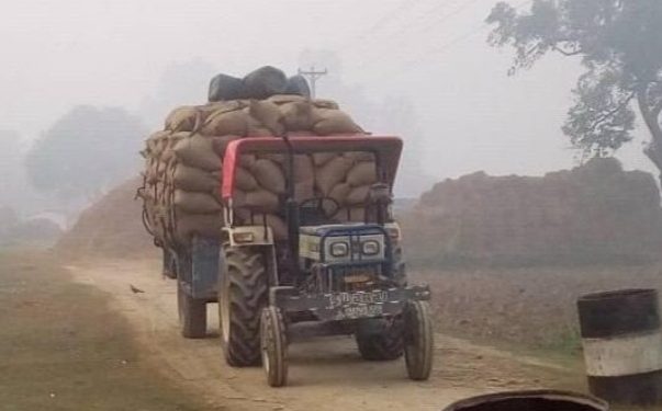 सर्लाहीको भाडसर नाका हुँदै धान तस्करी मौलाउँदै, लाखौं राजस्व गुम्ने खतरा